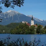 Katricnek * Bohinjska Bela