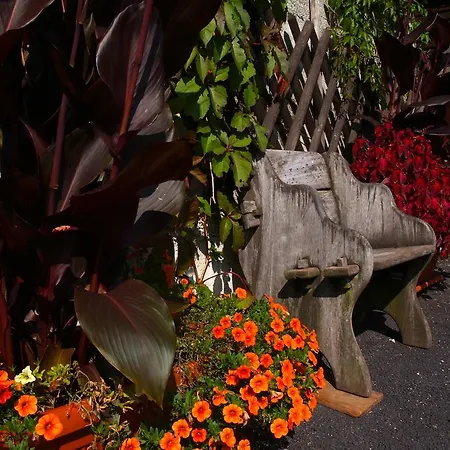 Feriehus Katricnek Bohinjska Bela