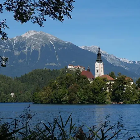 Katricnek * Bohinjska Bela