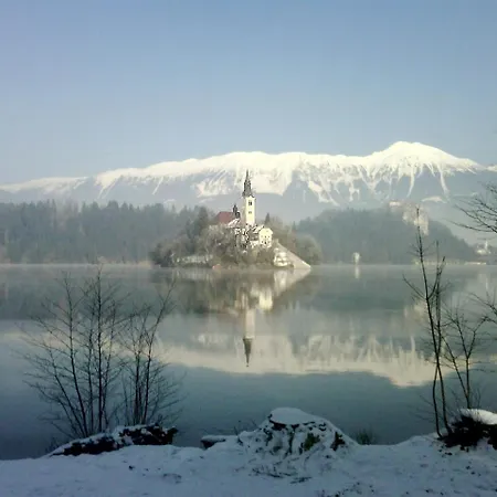 Katricnek * Bohinjska Bela