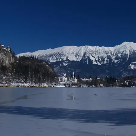 Katricnek Bohinjska Bela
