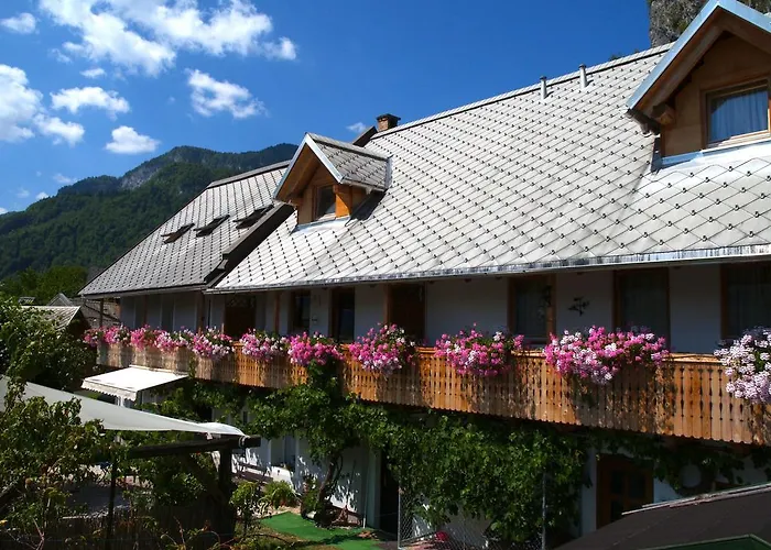 Nyaraló Katricnek *