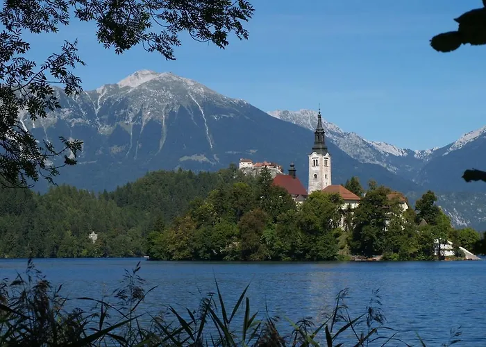 Katricnek * Bohinjska Bela