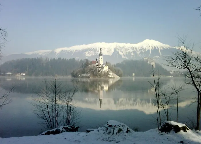 Katricnek * Bohinjska Bela